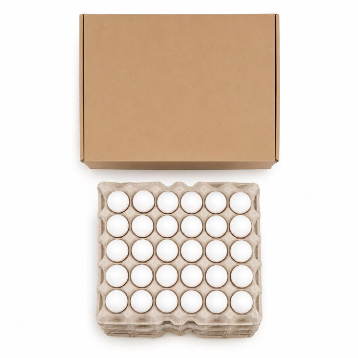Caja de Huevos Blancos — Calibre Mediano (180 unidades)