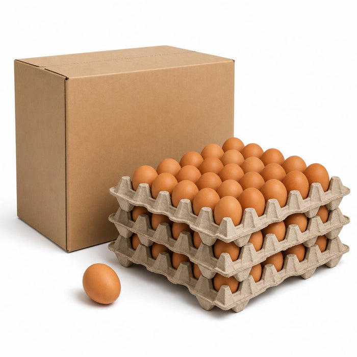 Caja de Huevos de Color — Calibre Jumbo (100 unidades)