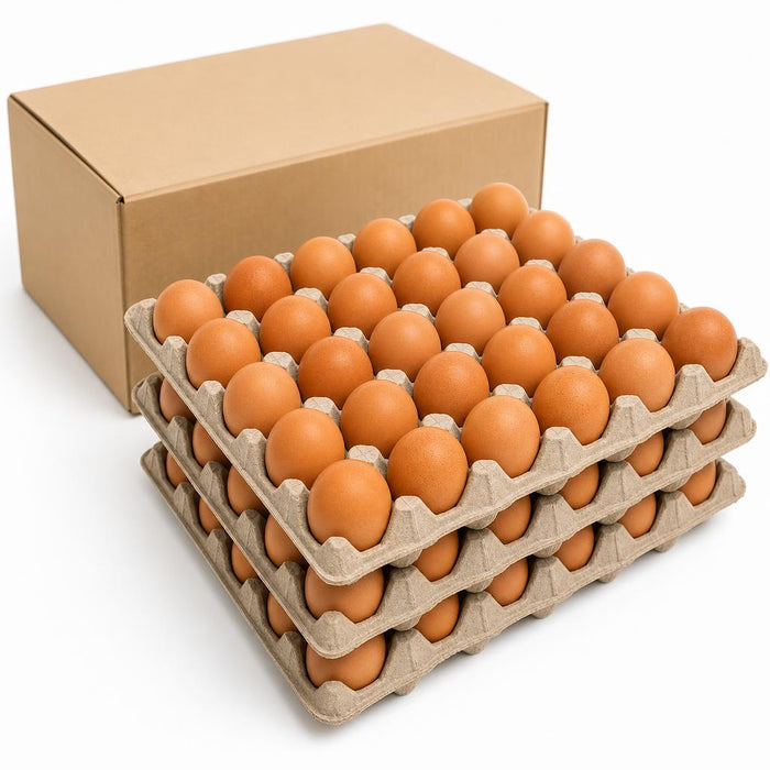 Caja de Huevos de Color — Calibre Primera (180 unidades)