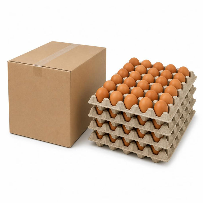 Caja de Huevos de Color — Calibre Super (100 unidades)